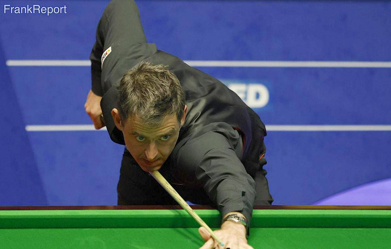 无疑增进了 无疑增进了