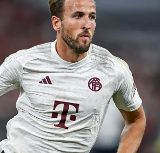 以一年试错 以一年试错