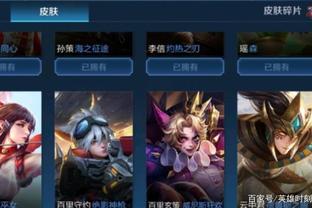 球观众的目